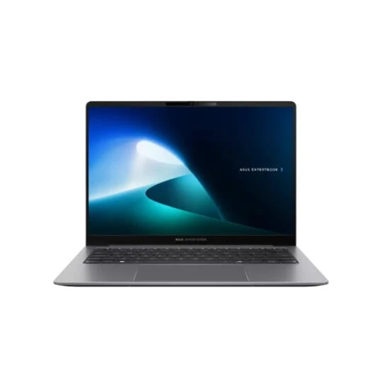 ASUS ExpertBook P5 P5405CSA-NZ0208 (90NX0861-M008A0)