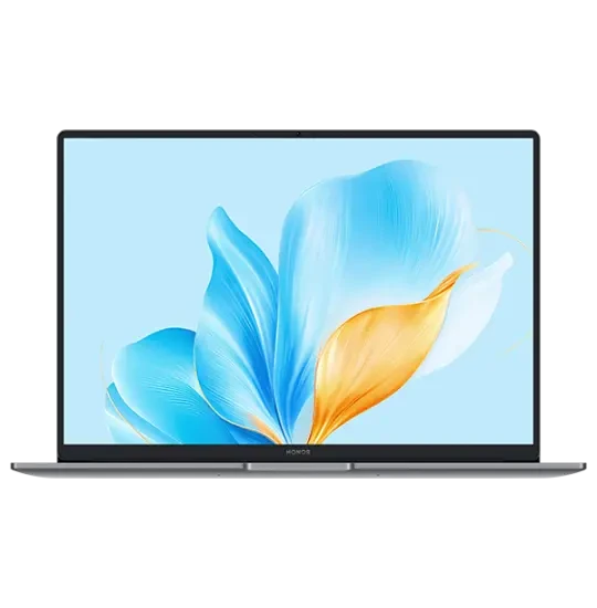 HONOR MagicBook X14 Space Gray (FRG-X) 2025