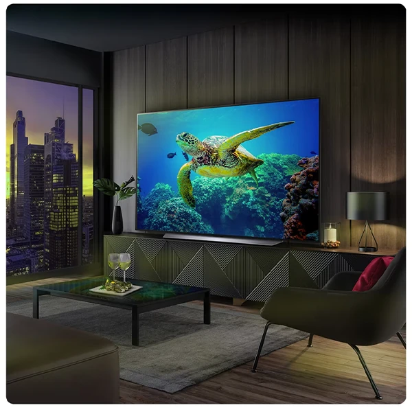 LG 55" OLED55C36LC Outlet