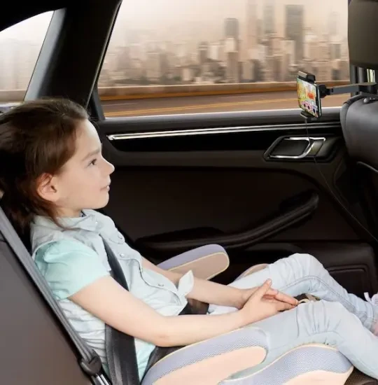 Baseus Wireless Charger Energy Storage Backseat Holder WXHZ-01 Black