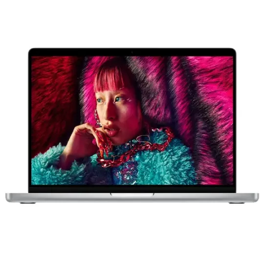 Apple MacBook Pro M4 (MW2W3RU)