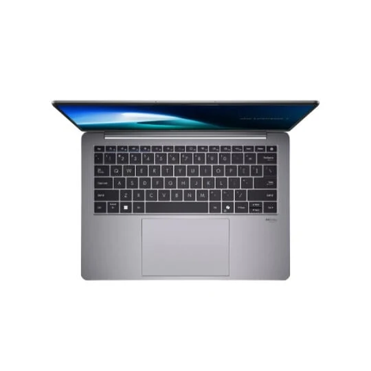 ASUS ExpertBook P5 P5405CSA-NZ0209 (90NX0861-M008B0)
