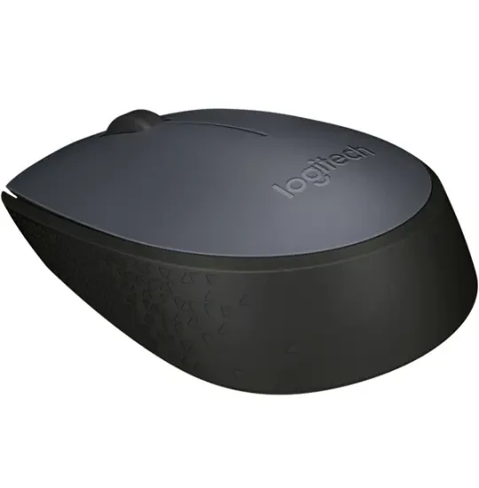 Logitech M170