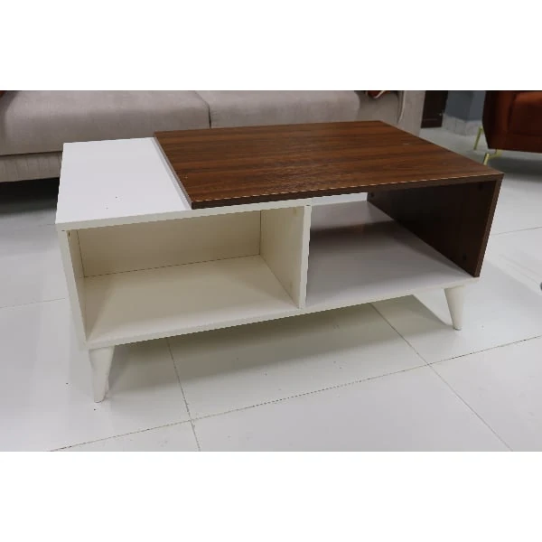 Jurnal masa SALOGLUTorino Aytaşı/Arex