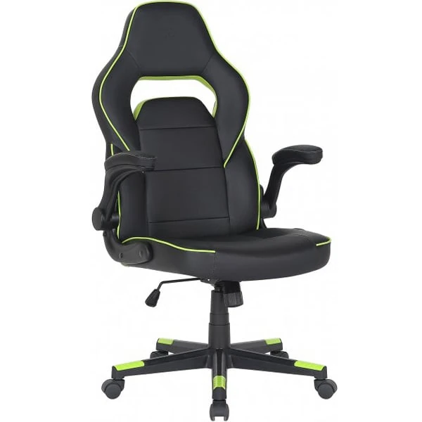 2E Gaming Chair 2E-GC-HEB-BK HEBI Black&Green