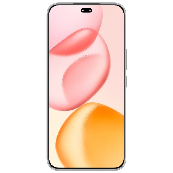 HONOR 400 Pro 12 GB / 256 GB Lunar Gray