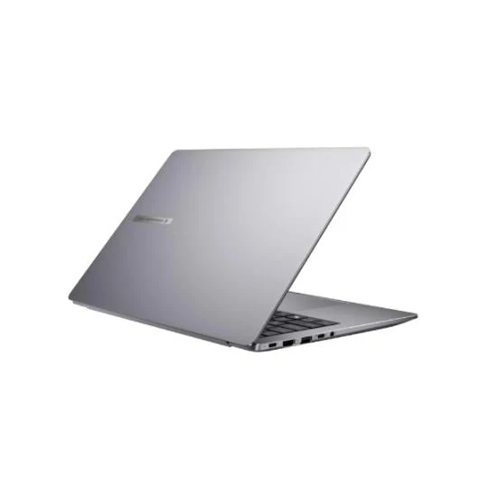 ASUS ExpertBook P5 P5405CSA-NZ0209 (90NX0861-M008B0)