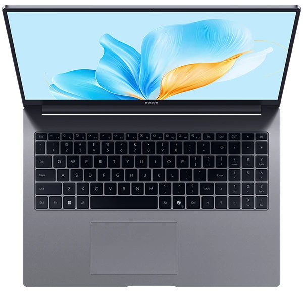 HONOR Magic Book X16 Space Gray (BRG-565) 2025