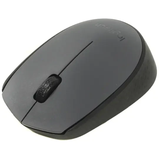 Logitech M170