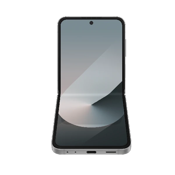 Samsung Galaxy Z Flip 6 (SM-F741) 12 GB / 256 GB Silver Shadow