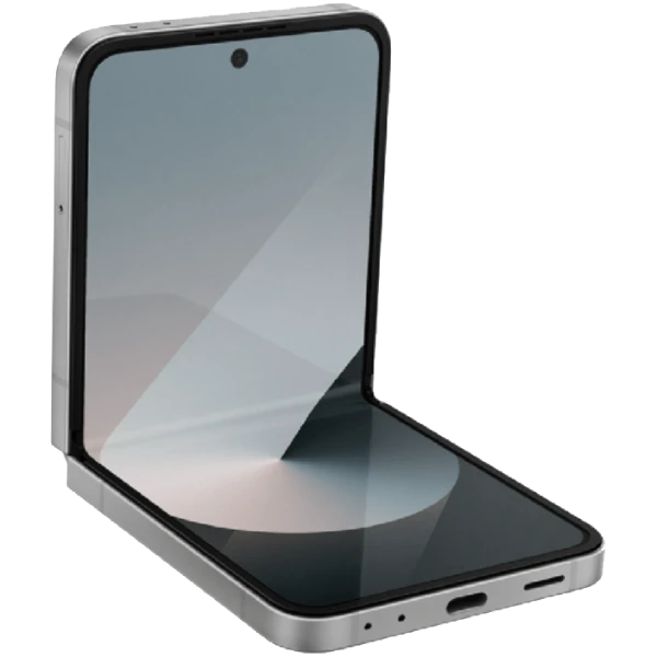 Samsung Galaxy Z Flip 6 (SM-F741) 12 GB / 256 GB Silver Shadow