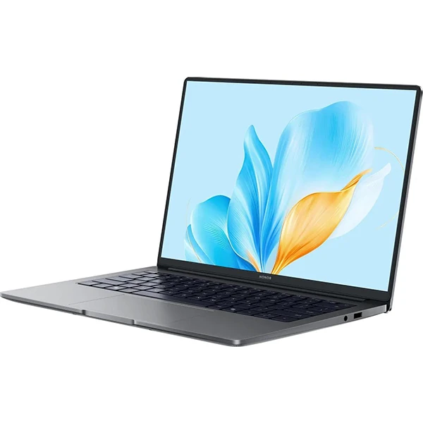 HONOR MagicBook X14 Space Gray (FRG-X) 2025