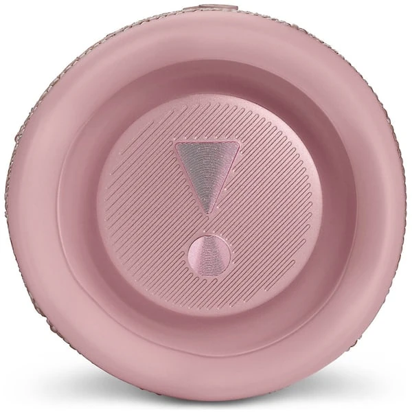 JBL Flip 6 Pink