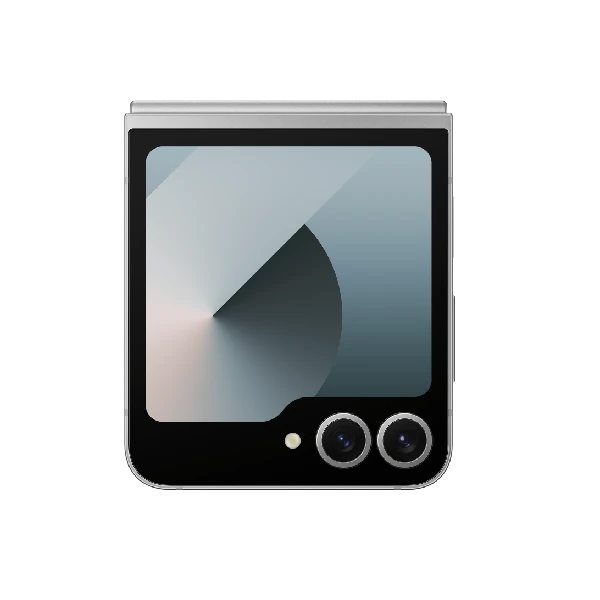 Samsung Galaxy Z Flip 6 (SM-F741) 12 GB / 512 GB Silver Shadow